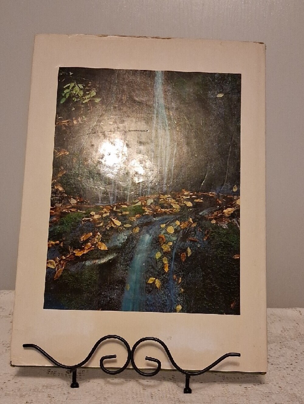 Appalachian Wilderness ⛰️The Great Smoky Mountains 1970 Book - Picture 4 of 12